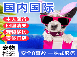 郑州机场货运国际宠物托运 【国